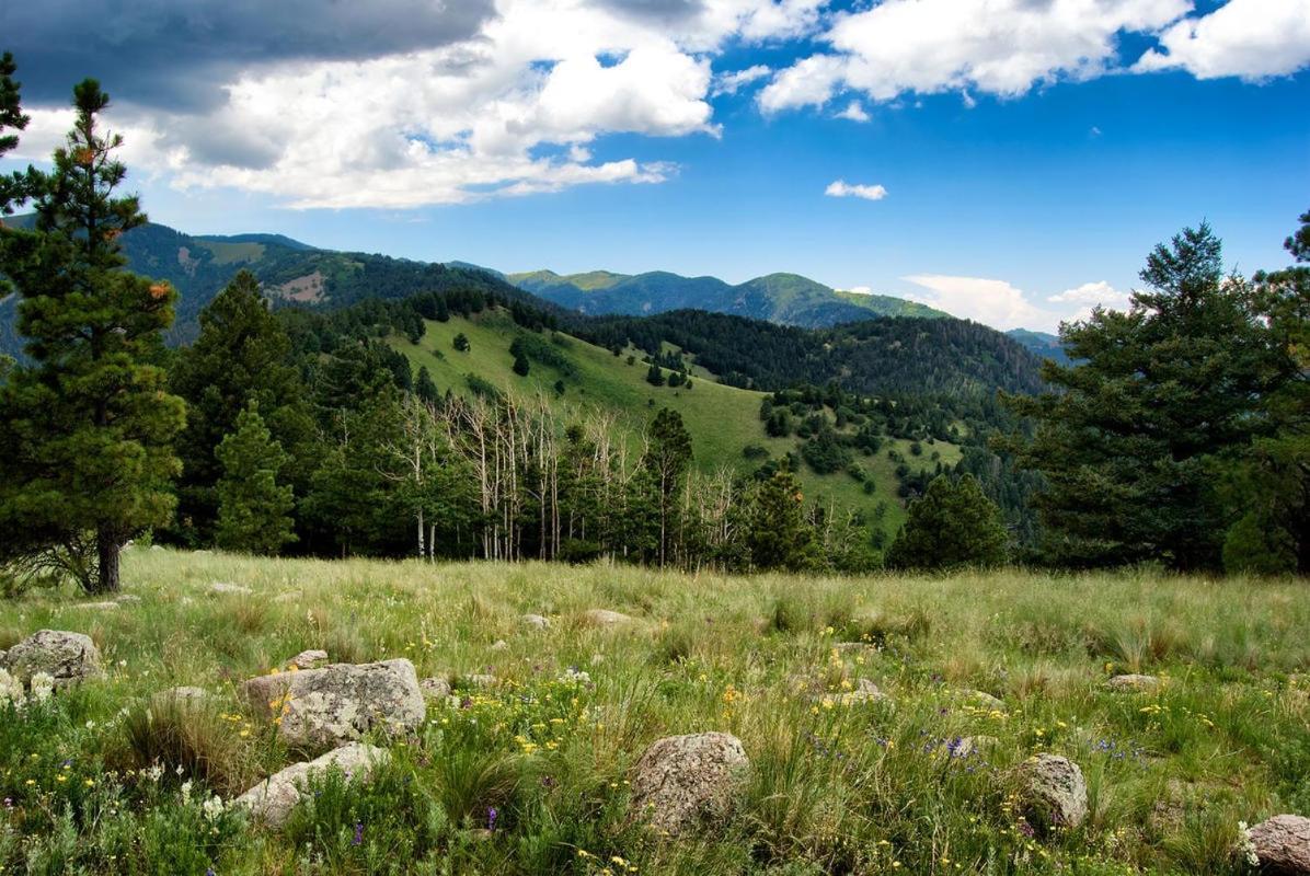 Country Cabin, 2 Bedrooms, Fireplace, Midtown, Sleeps 6 Ruidoso Eksteriør billede